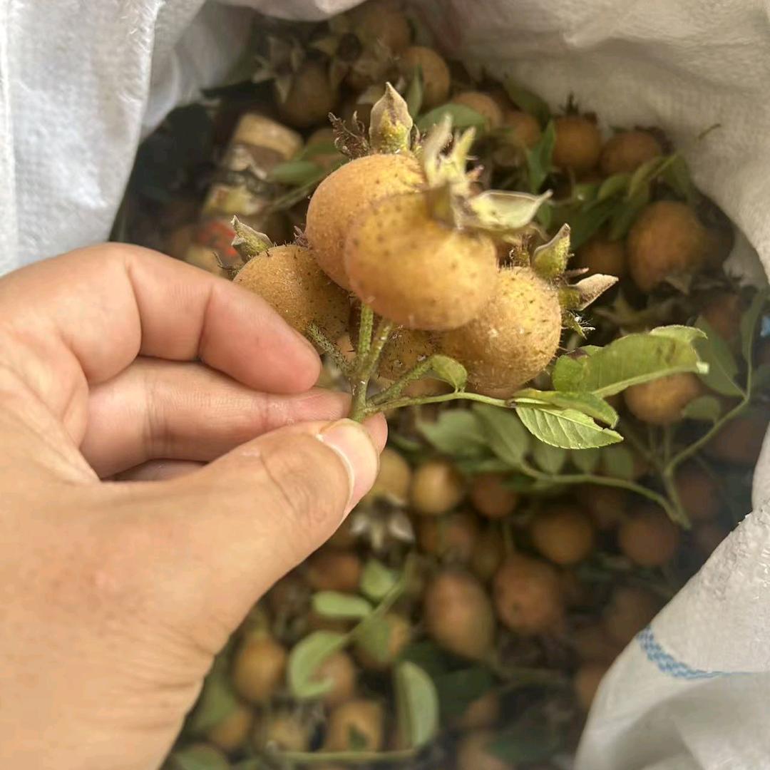云边山野滋味