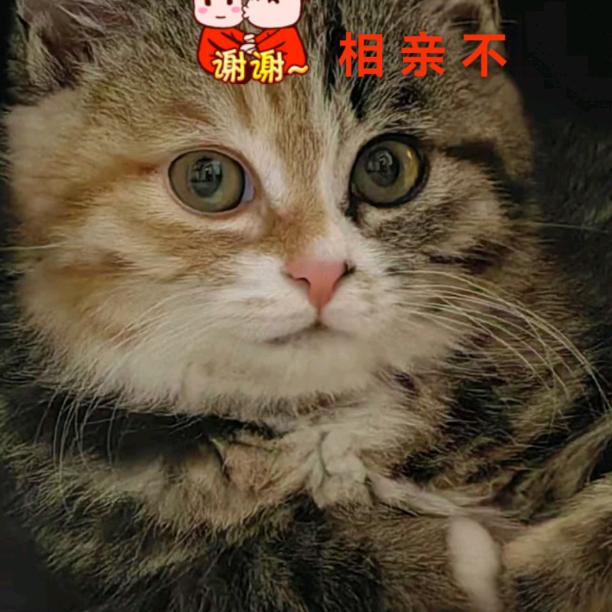 威童汇