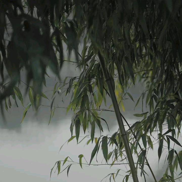 犹事雕虫
