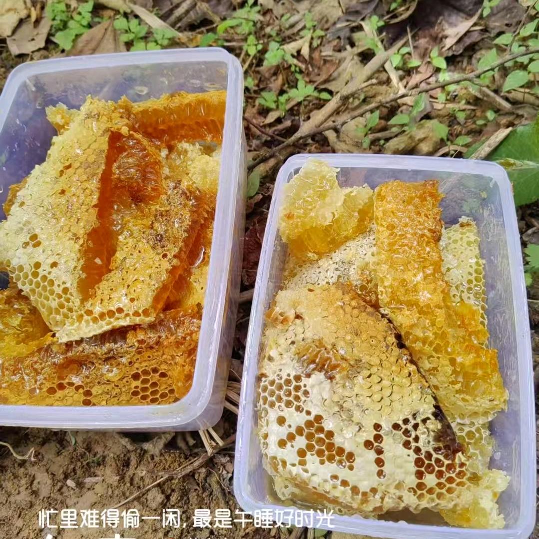 婷曼