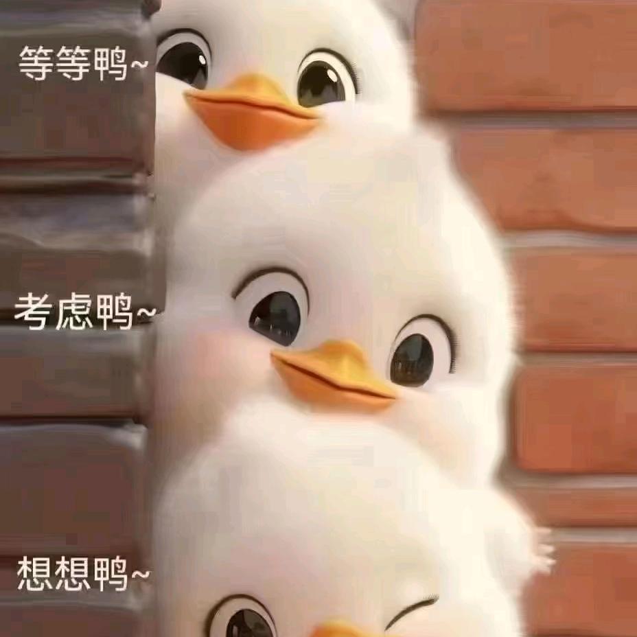 文