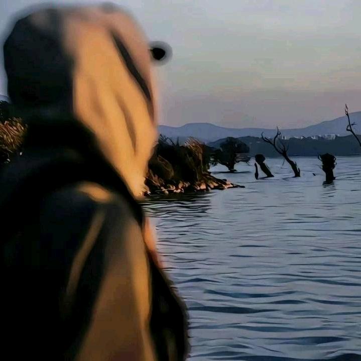 折沐.