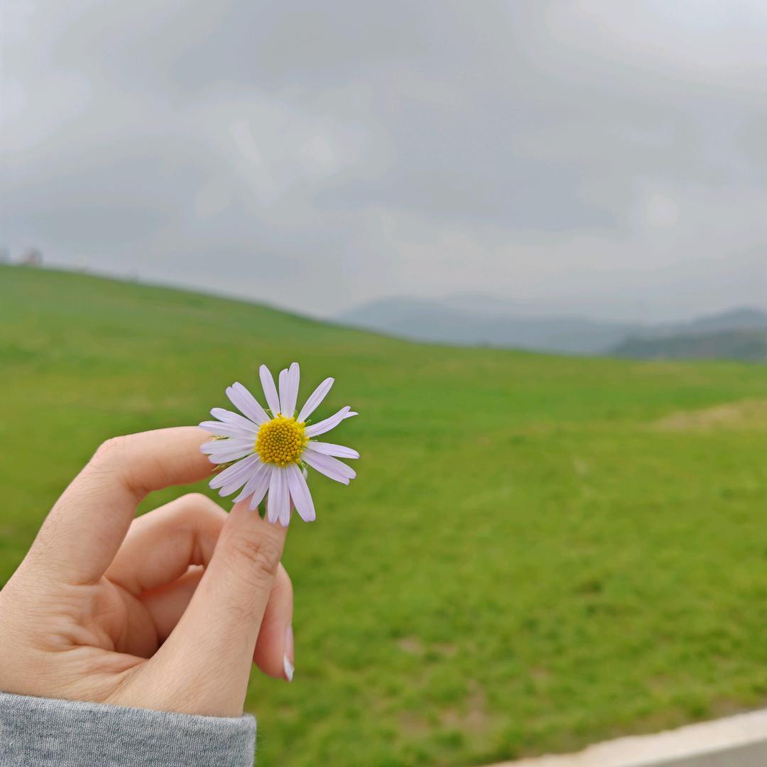 动感北面正品潮牌童装