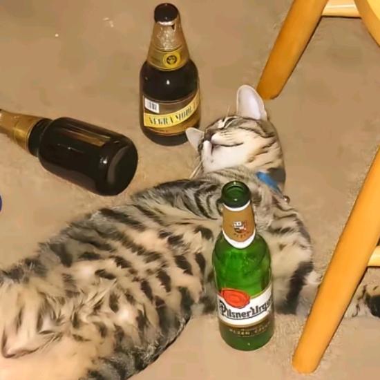 铁柱.