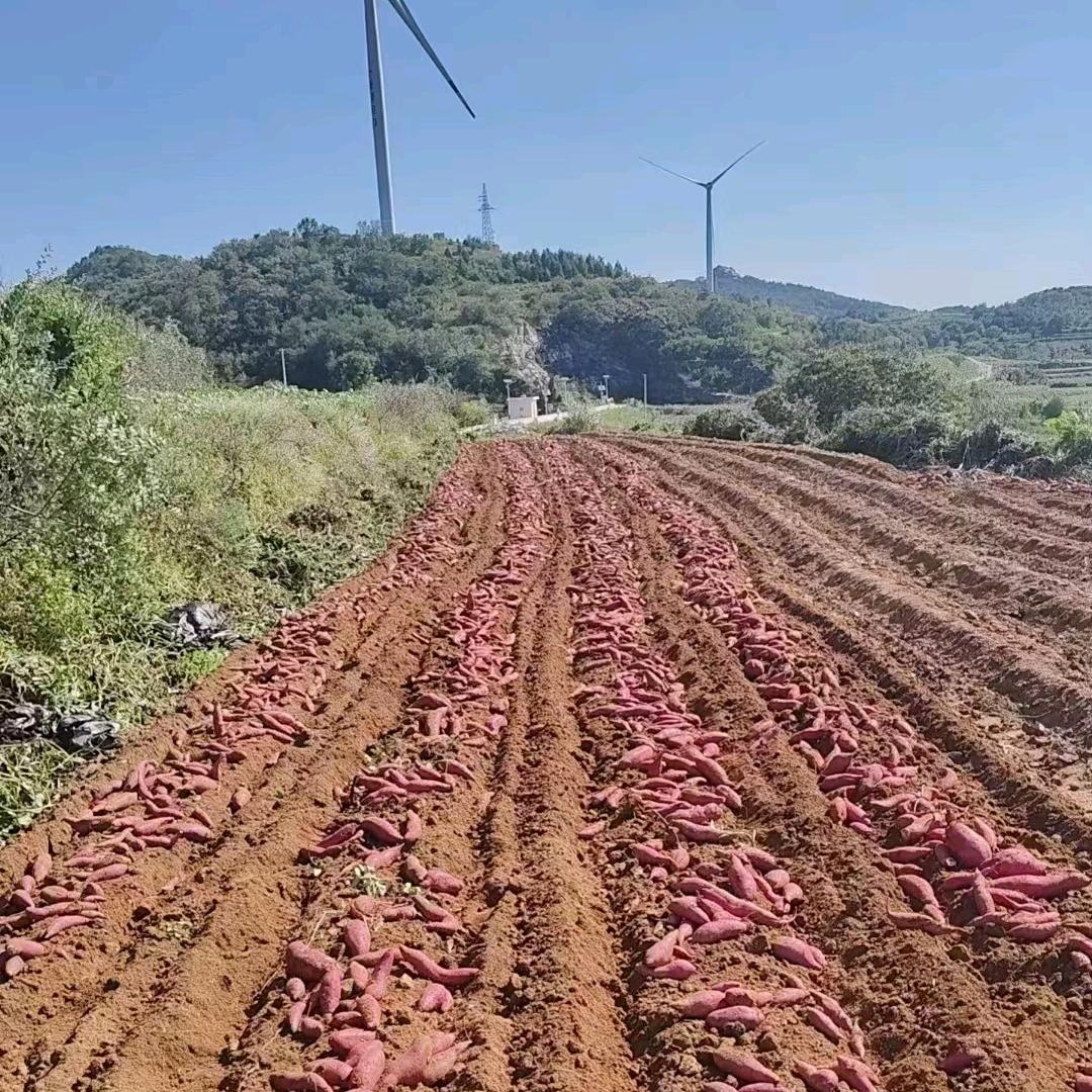百果顺助农