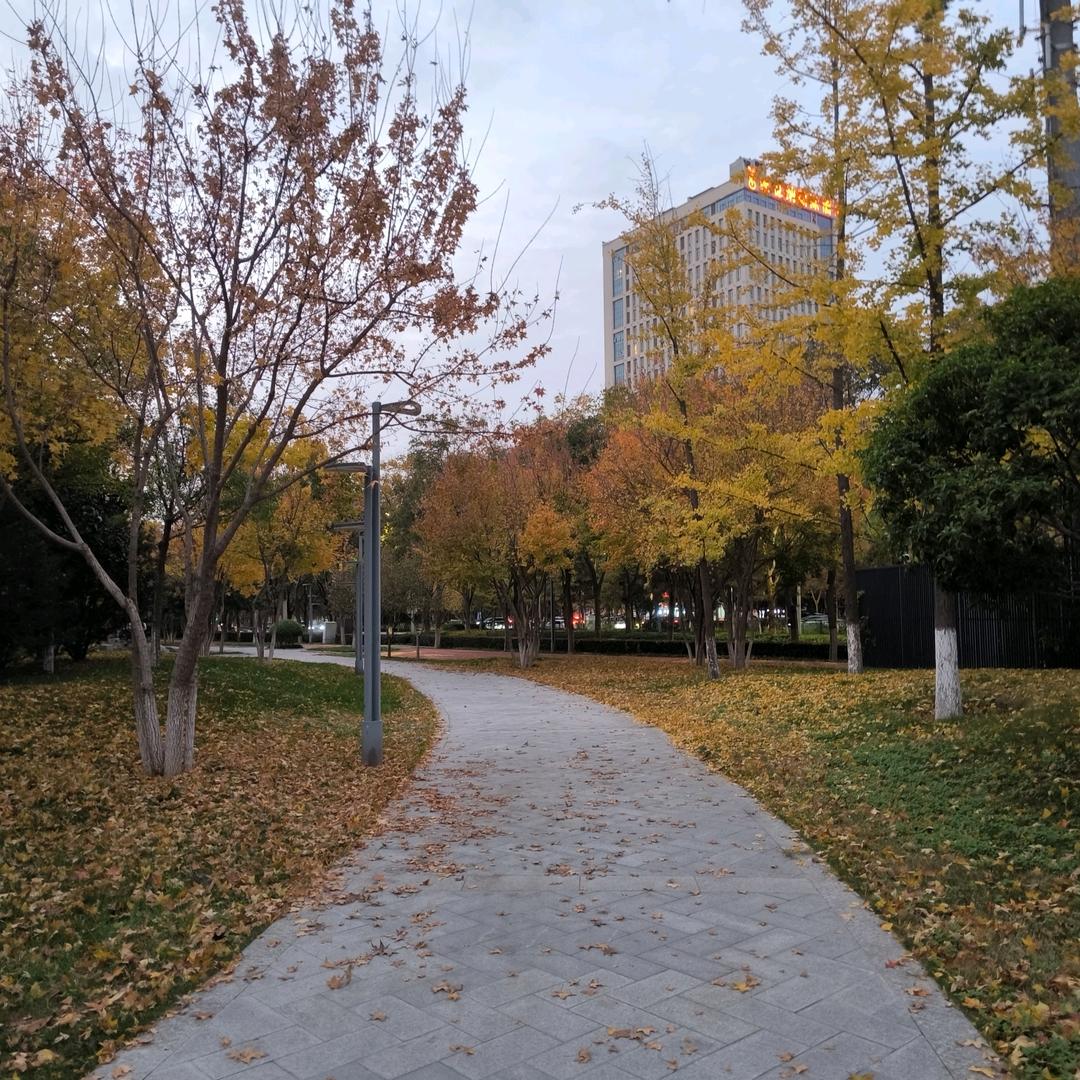 止水去旁骛