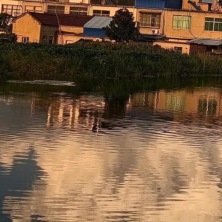 秋已凉