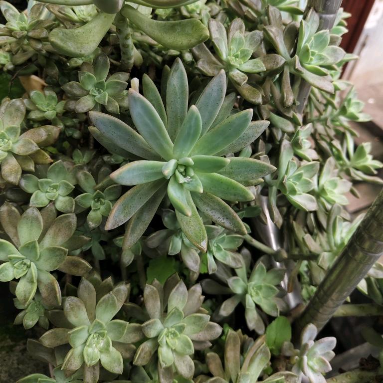 未来的路只有靠自己