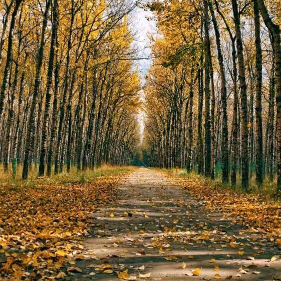 1️⃣9️⃣8⃣️9️⃣