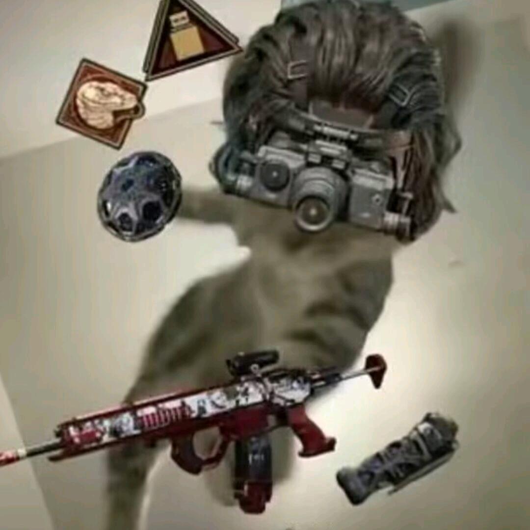 超绝耄耋应激乱挠