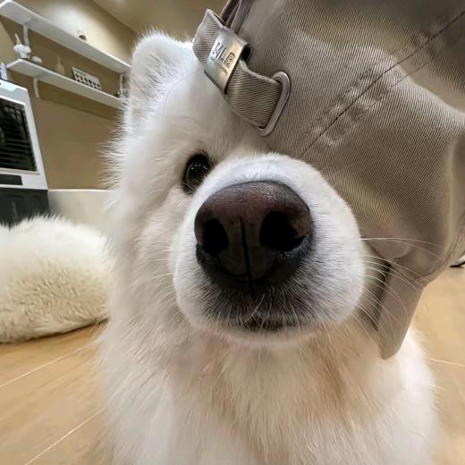 👊破5⃣️🌙定律