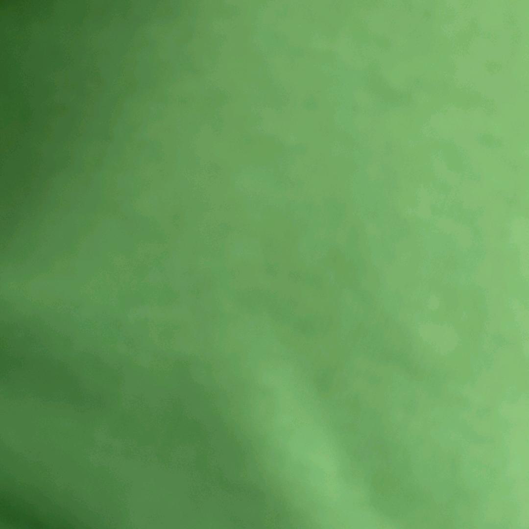 白萍姐姐你好