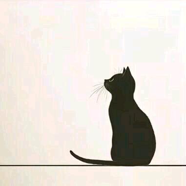 猫主