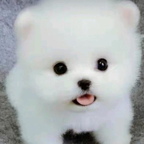 @@@