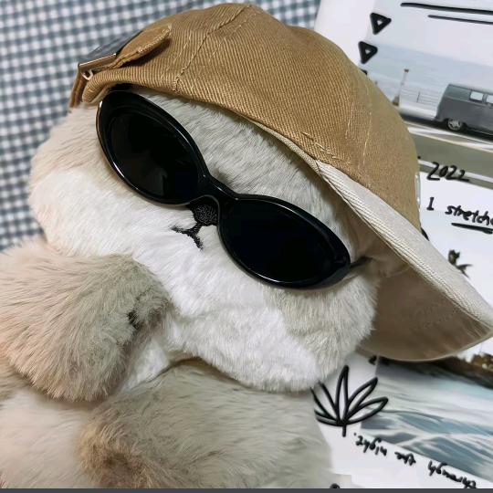 🌈小羊小跟班🌈