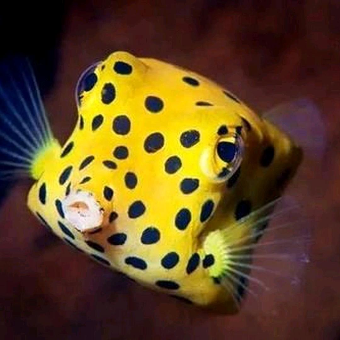 成都净水器服务