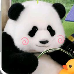 小独宠⛵️（韩小宝🥩³¹⁷）