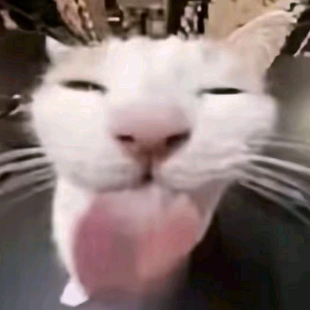 巴巴博一