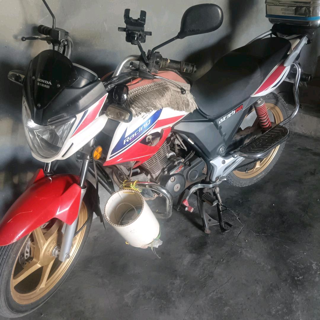 阳光的：阳光：