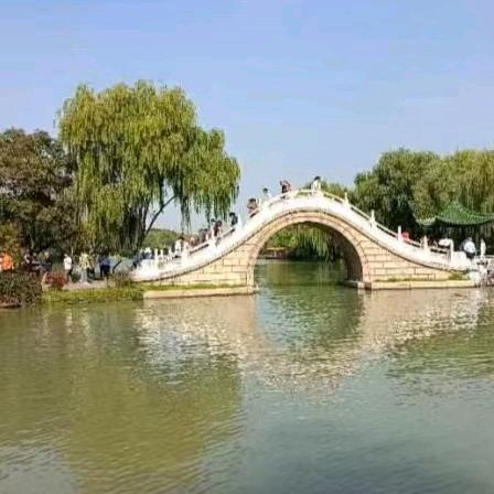 柯S华