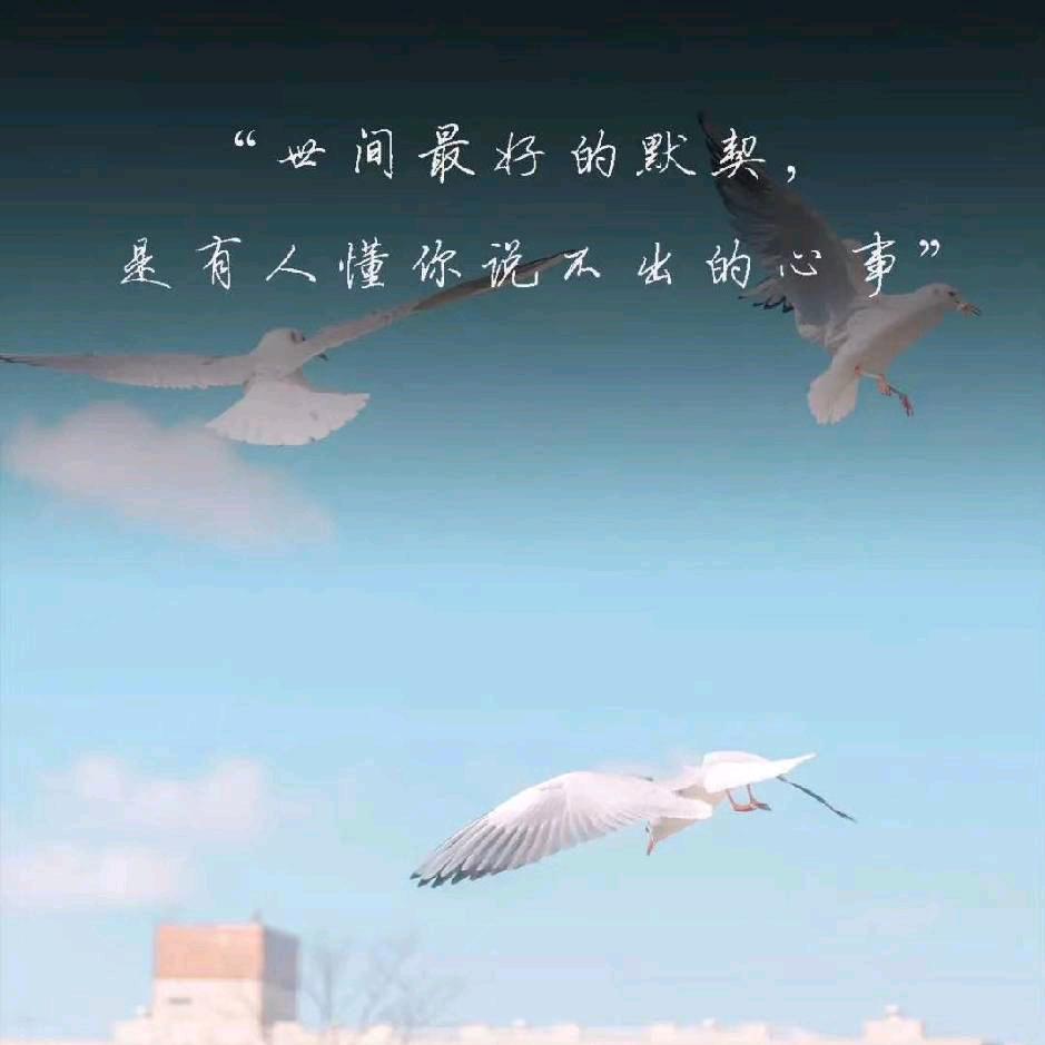 《理想·三旬》吴