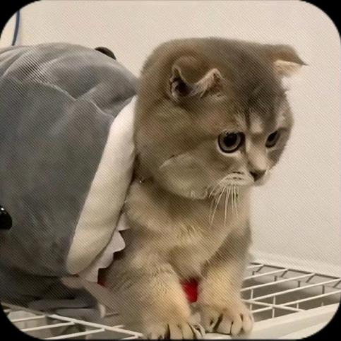 超级无敌爆王龙