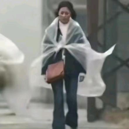 屿桉