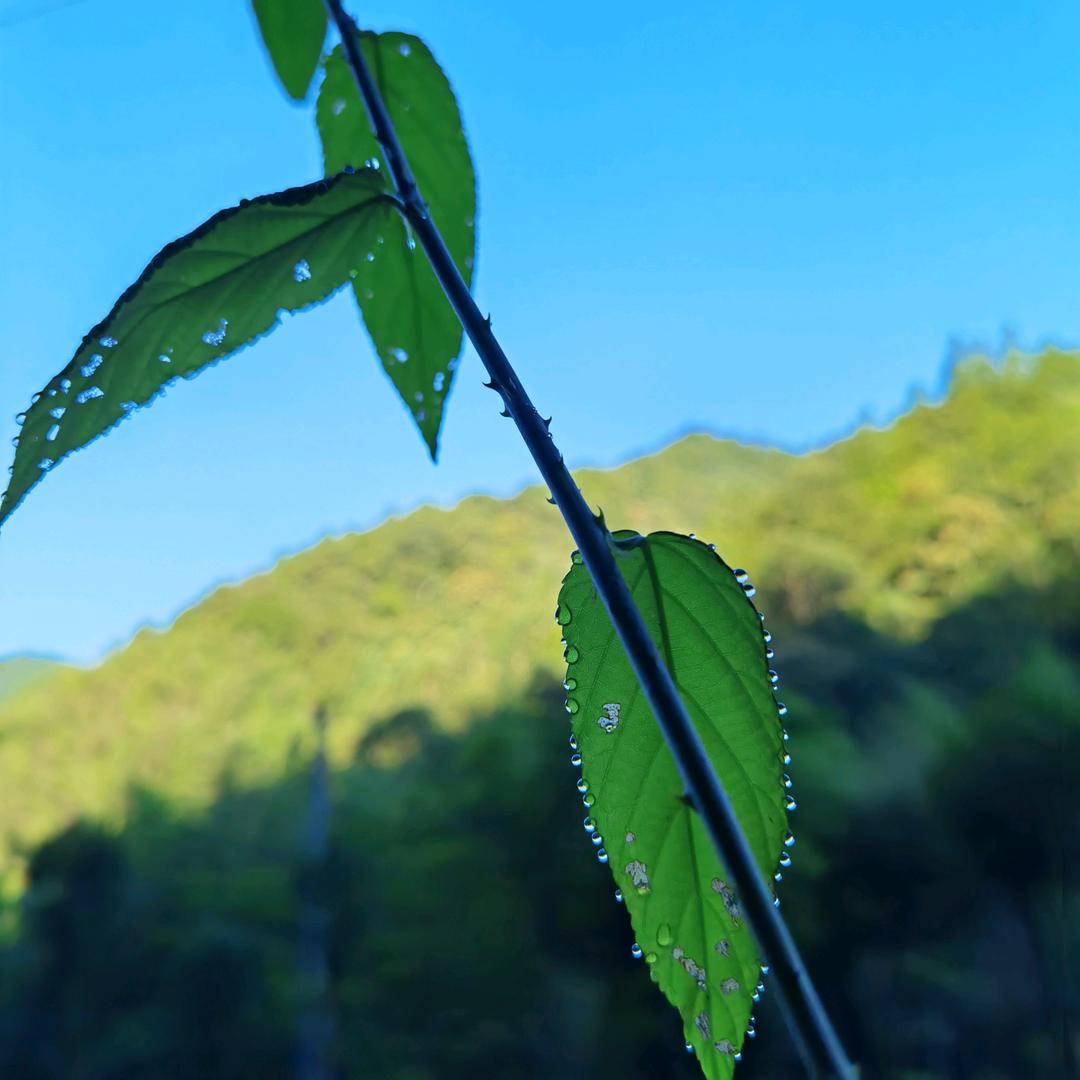 时光静谧