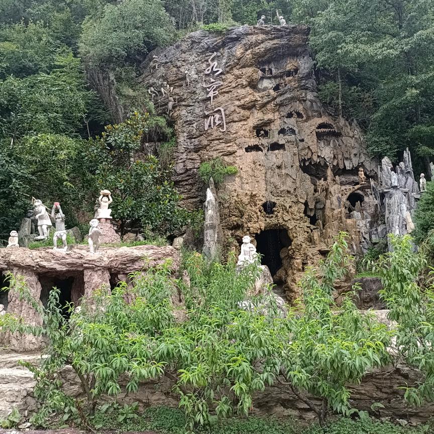 追随梦想