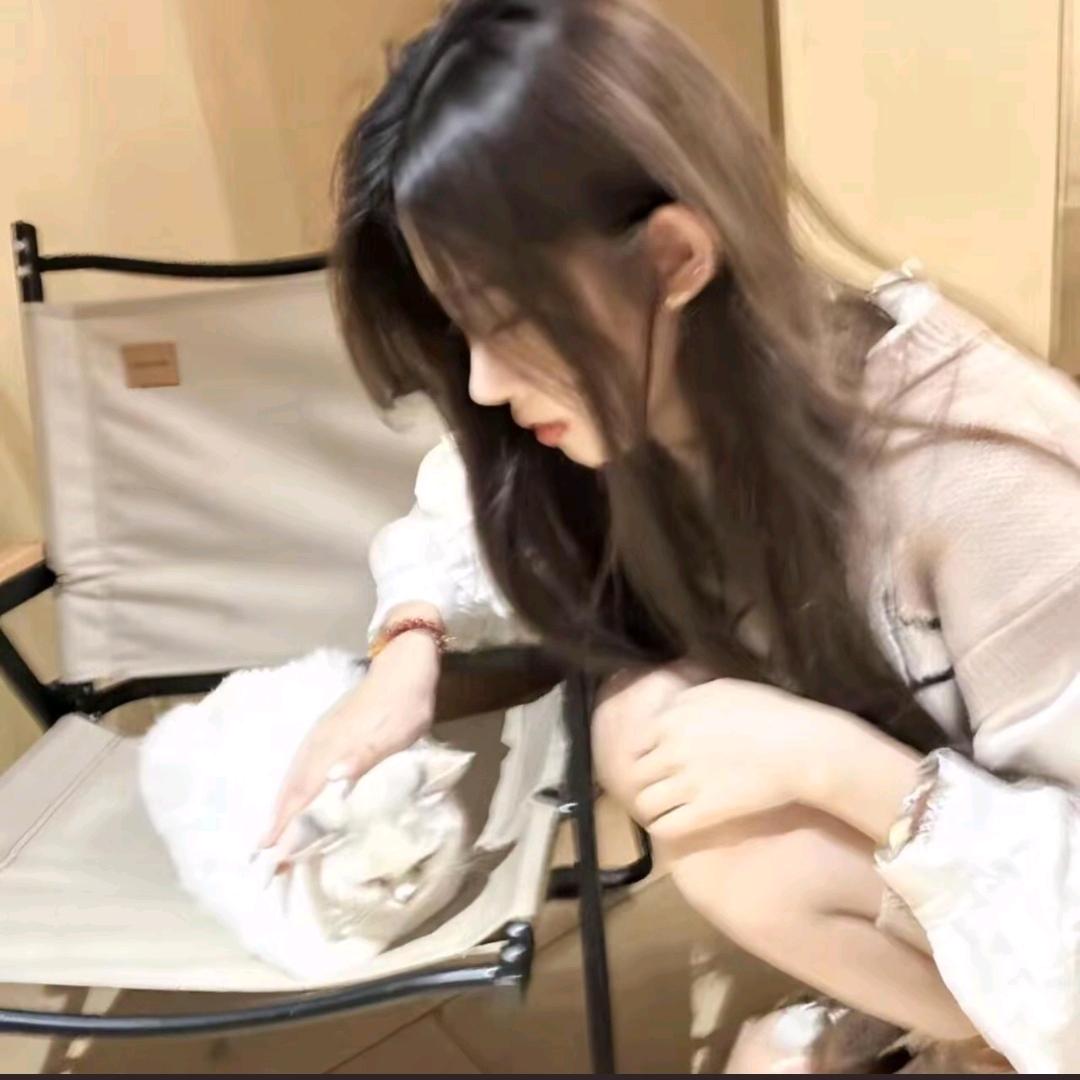薯薯宝