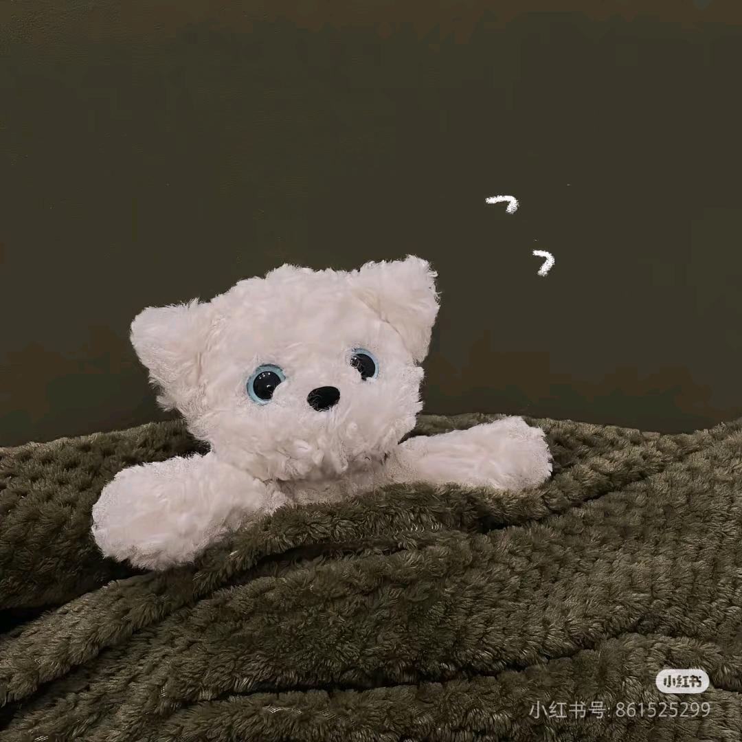 吐泡泡的xia✨