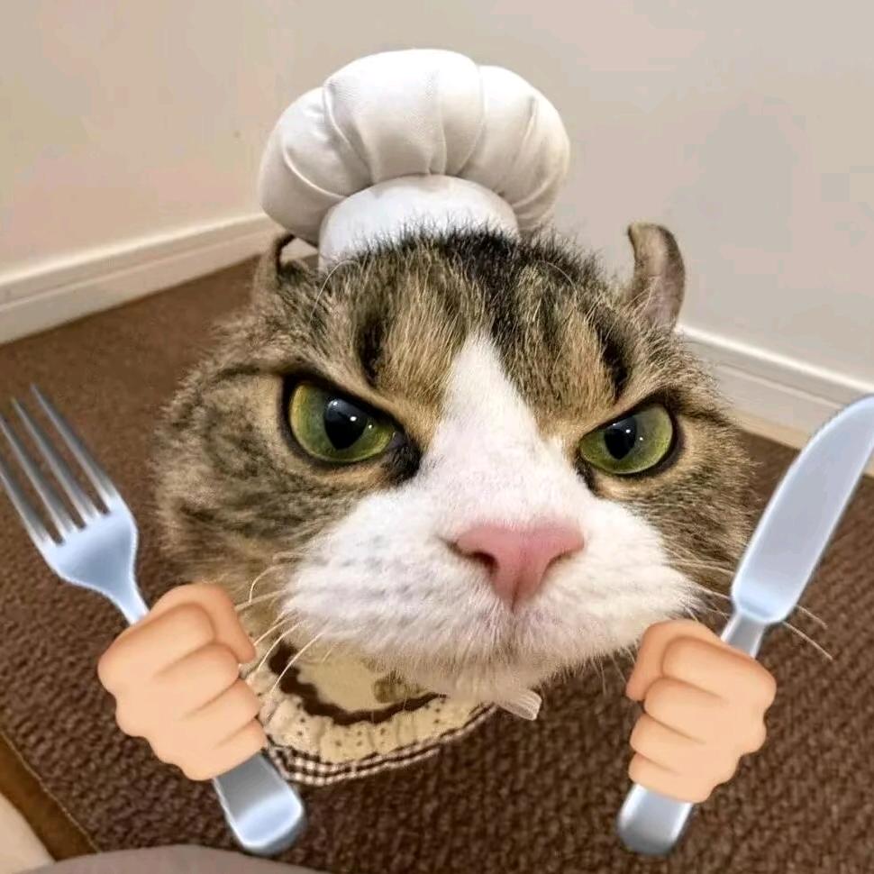 ·ᴗ·（可教学）