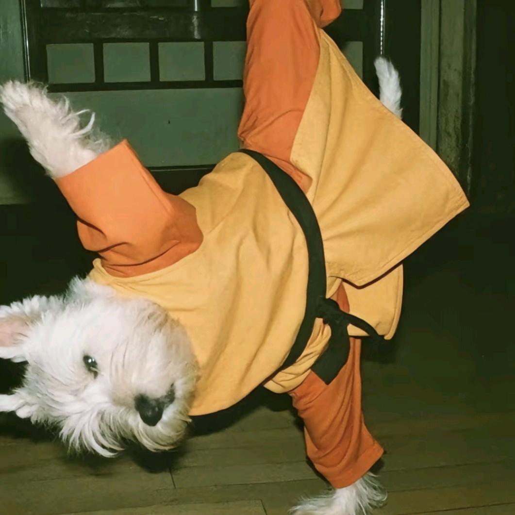 挖个坑把糖埋了！