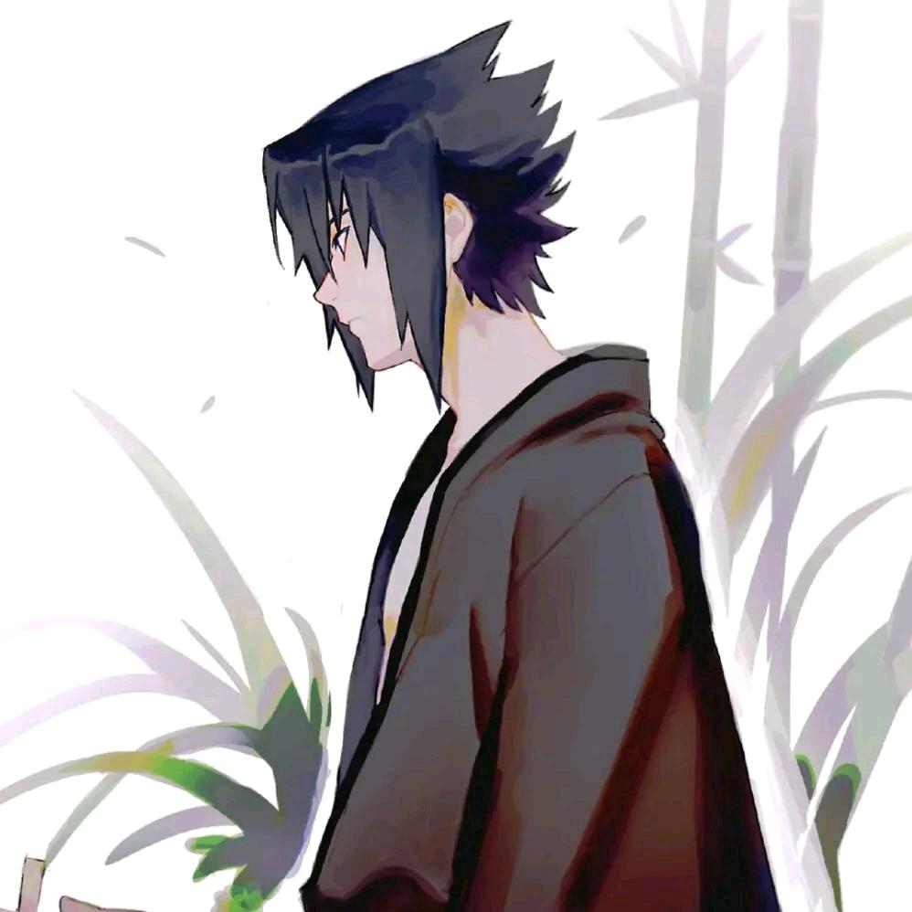 想入帆帆