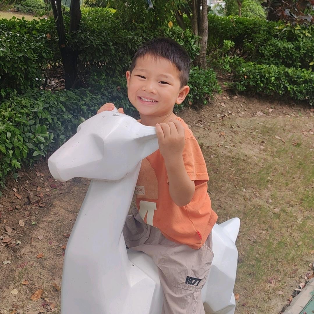 马店京东家电东升家具家电