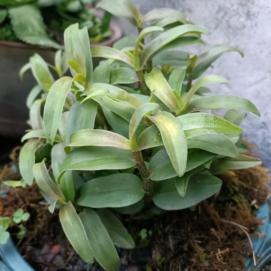 …阿杰…