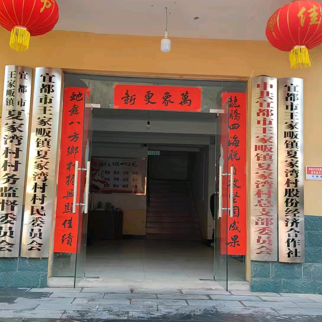 夏家湾村干部张桂先