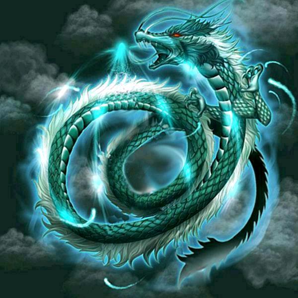 龍🐉