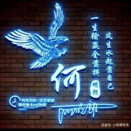 何锋：远游
