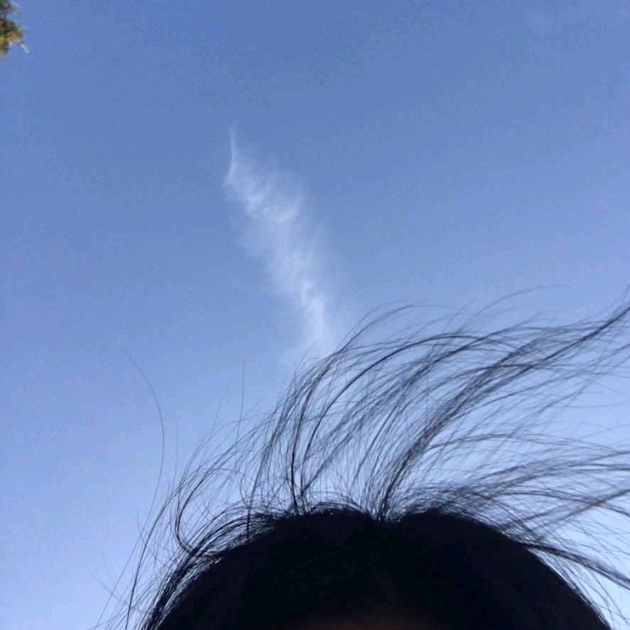 鹿不白