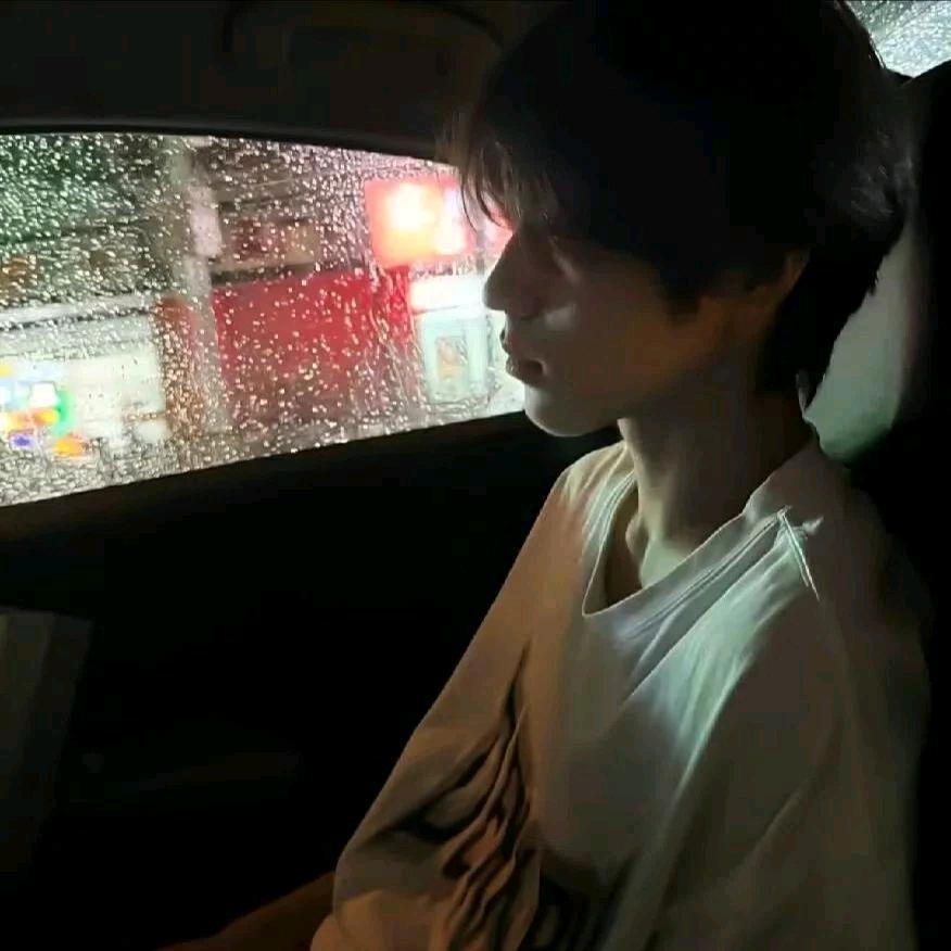 恋情赴