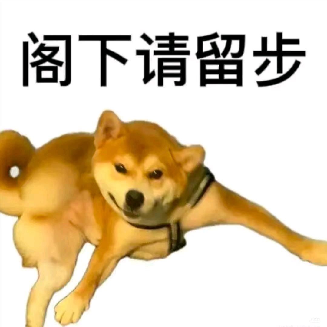 麻鸭