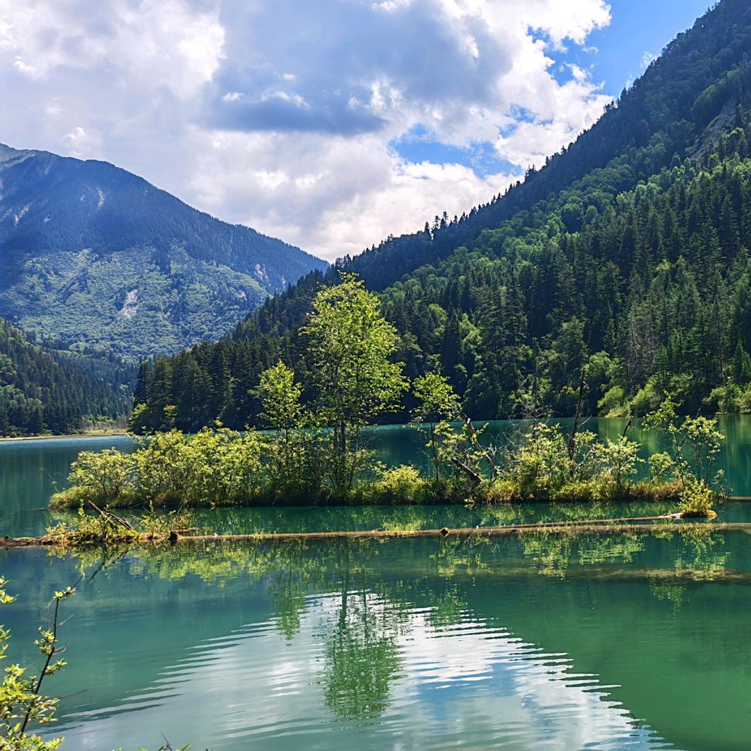 卓梵通讯家电小铺子