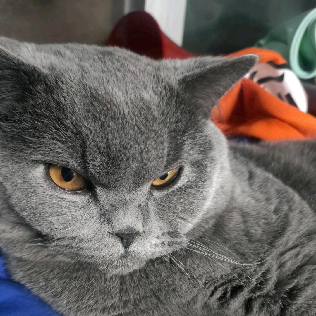 （鸿运果业.葡萄瓜果）徐宝祥农产品