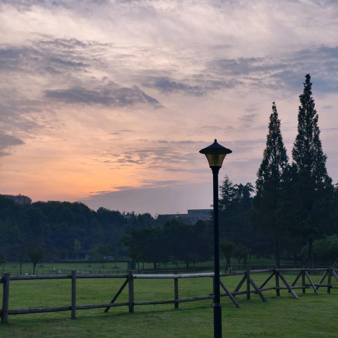 爱学习的罗老师