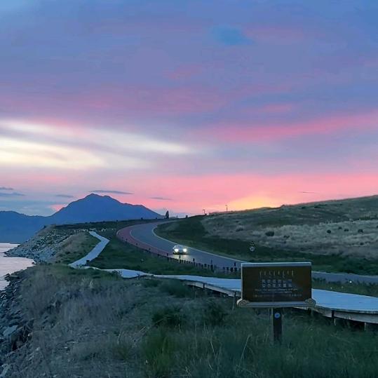 不爱吃橘子的猫