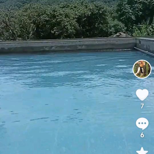 纵行四海