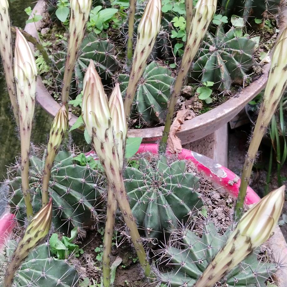 好好生活