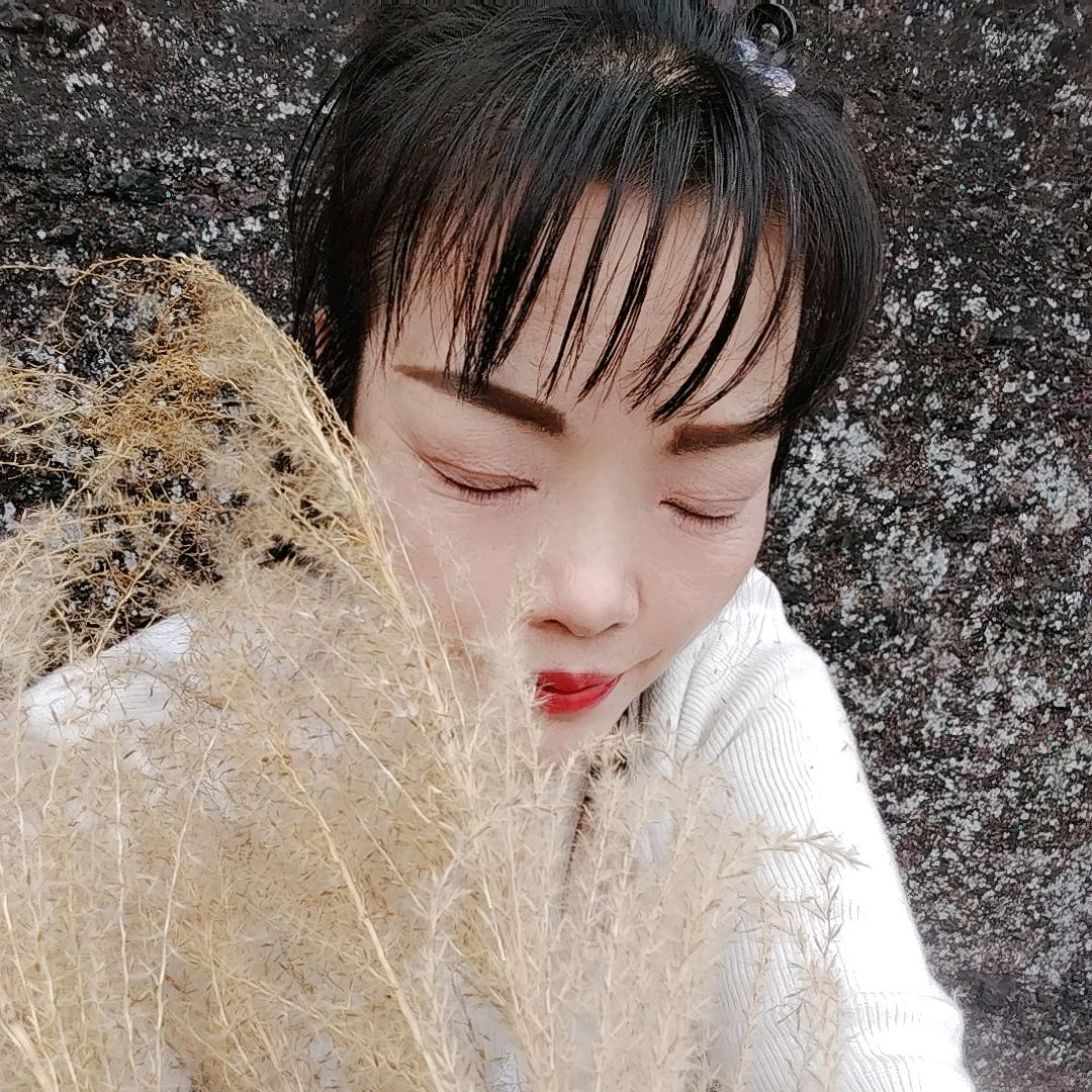 徐徐风来