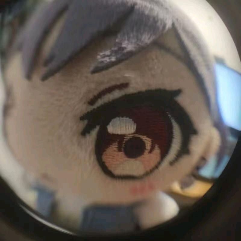 帅豹